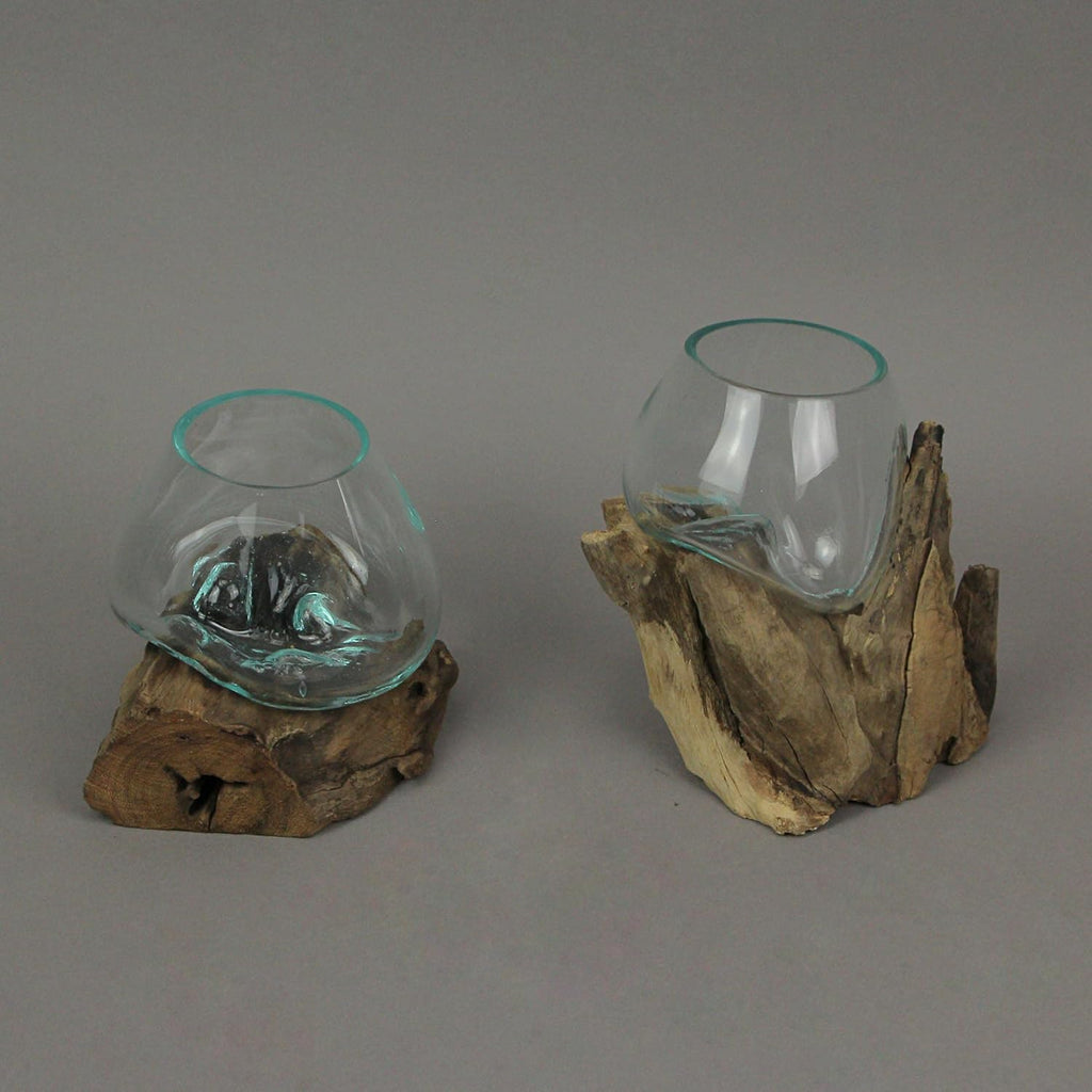Set of 2 Glass and Teak Driftwood Decorative Bowls P177923