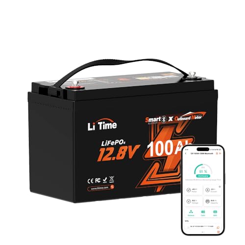 12V 100Ah LiFePO4 Battery Group 31 Lithium Battery with 100A BMS J9560