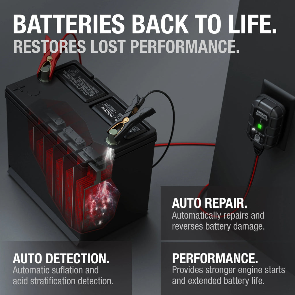 6V/12V 1A Smart Battery Charger and Maintainer I273259