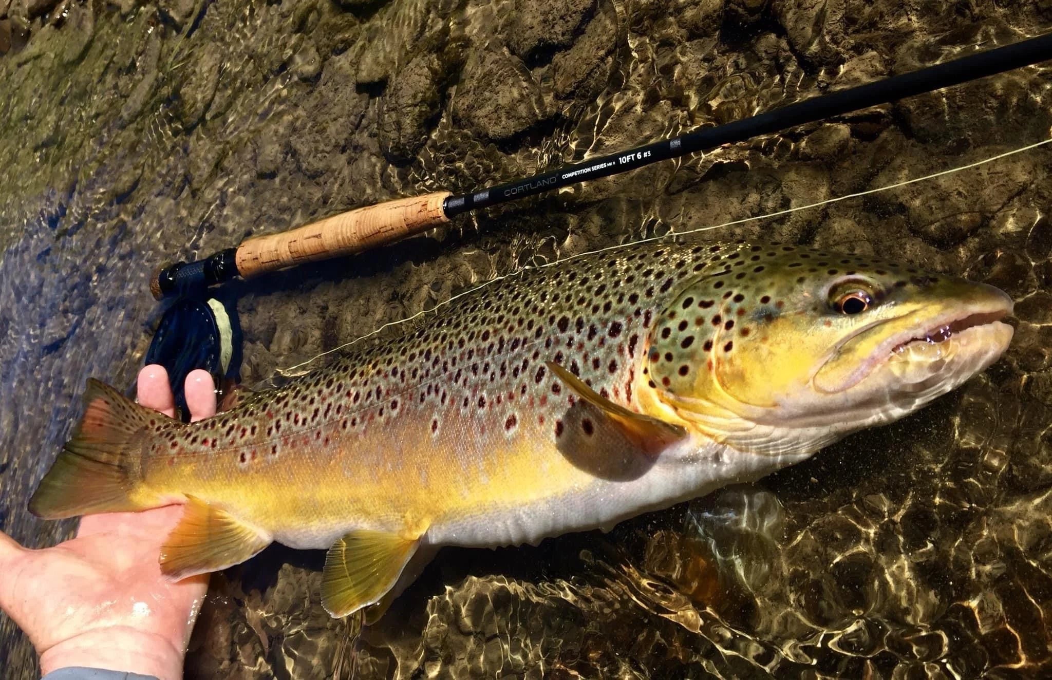 Euro Style Nymphing Fly Rod T430067