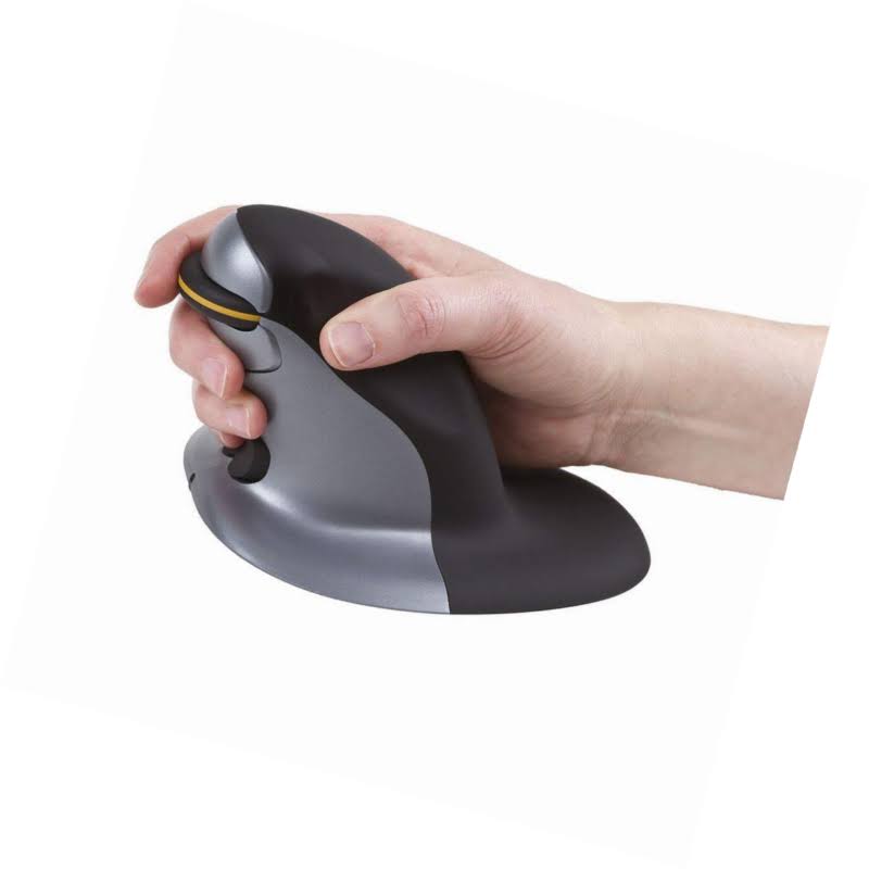 Large Wireless Vertical Mouse Q898