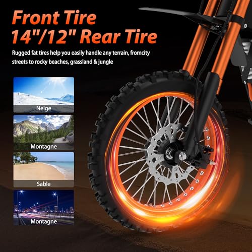 14"/12" Fat Tire 2000W Electric Dirt Bike with 48V 21AH Battery O52501