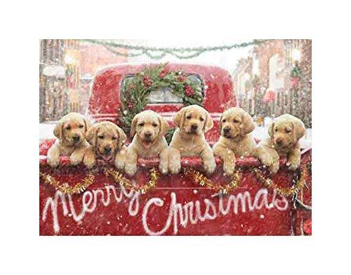 Christmas Cards T568