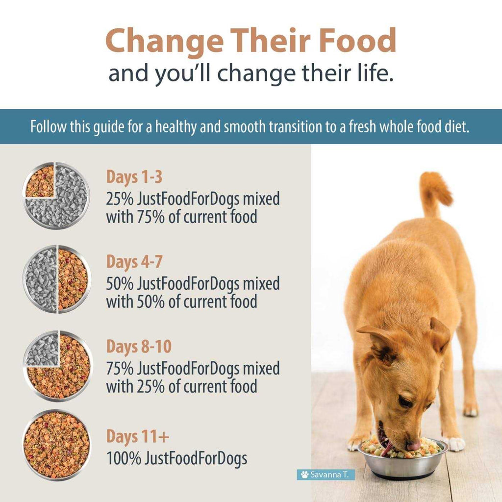 Balanced Remedy Frozen Dog Food U492