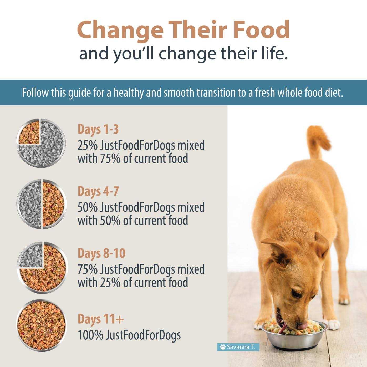 Balanced Remedy Frozen Dog Food U492
