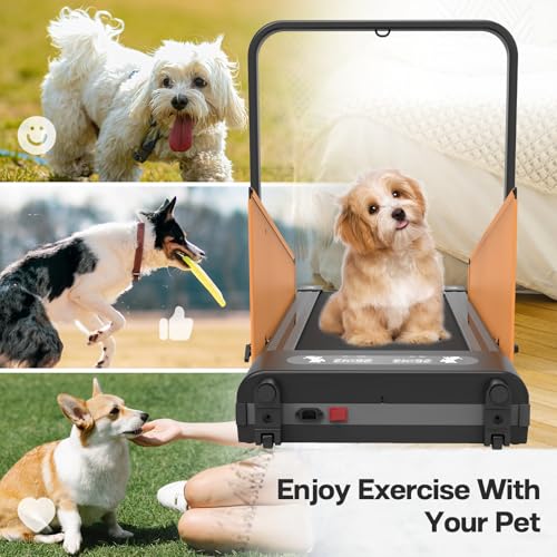 Pet Dog Running Machine with Remote Control F769