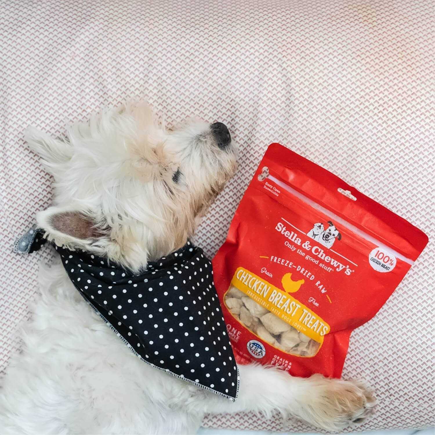 Chicken Freeze Dried Dog Treats U5553
