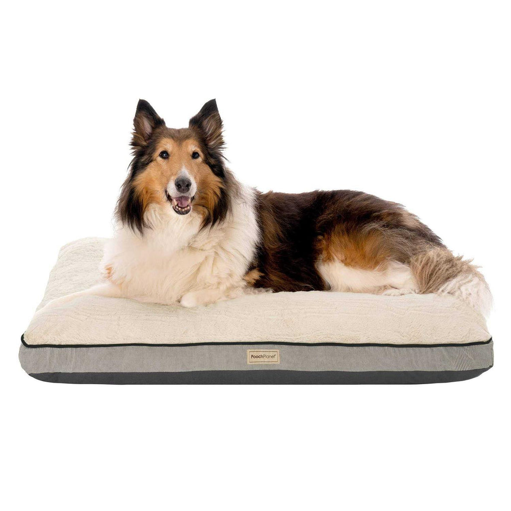 Large Memory Foam Dog Bed with Removable Washable Cover F302454