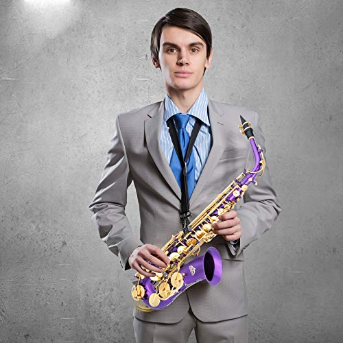 Black/Golden Alto Saxophone E Flat Sax Full Kit with Carrying Case J4573