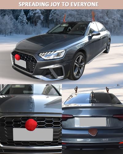 Reindeer Antlers Kit for Cars D7865