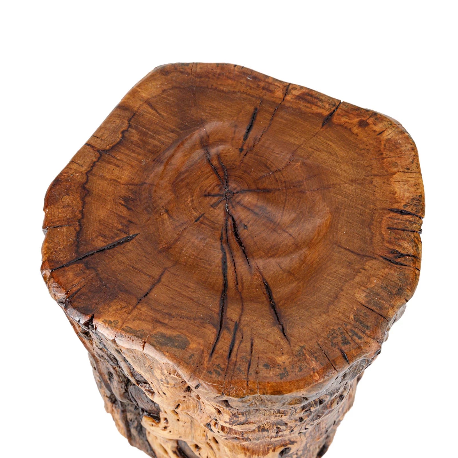 Natural Tree Trunk Stump Stool with Live Edge Solid Wood Plant Stand R684