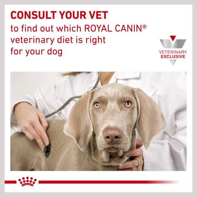 Veterinary Diet Skin Support Dry Dog Food B80515