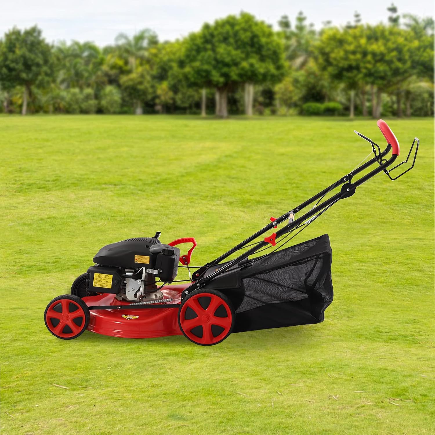 20-inch 173CC Self-Propelled Gas Push Lawn Mower with Bagger M1923