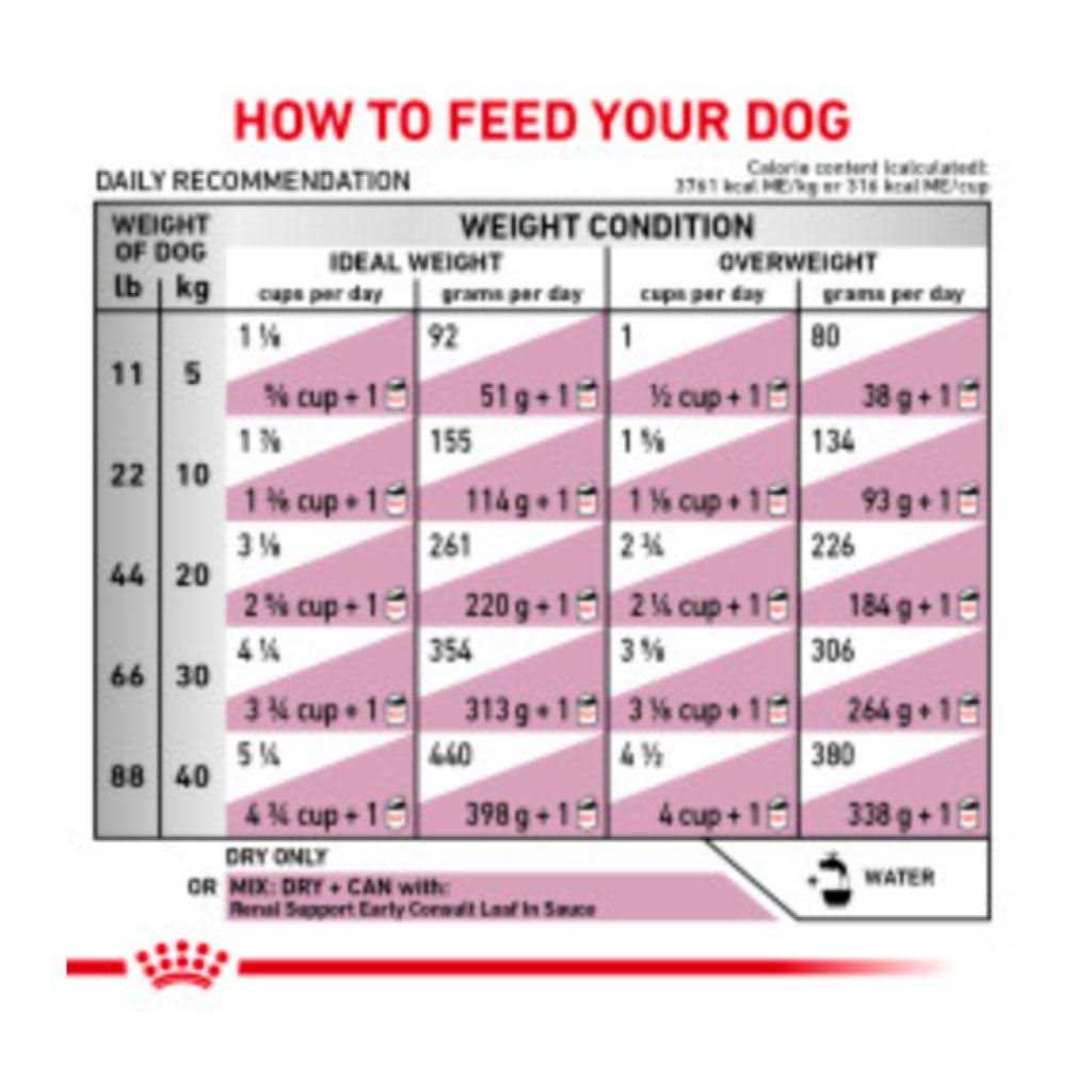 Veterinary Diet Canine Renal Support Early Consult Dry Dog Food U69999