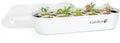 Indoor Garden Seed Starter Tray for Hydroponic Growing Systems J70894
