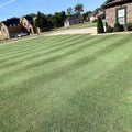 Yukon Bermuda Grass Seed - 10 lbs Y5703