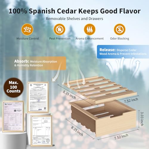 23L Electric Cigar Humidor with Spanish Cedar Wood Shelves E619