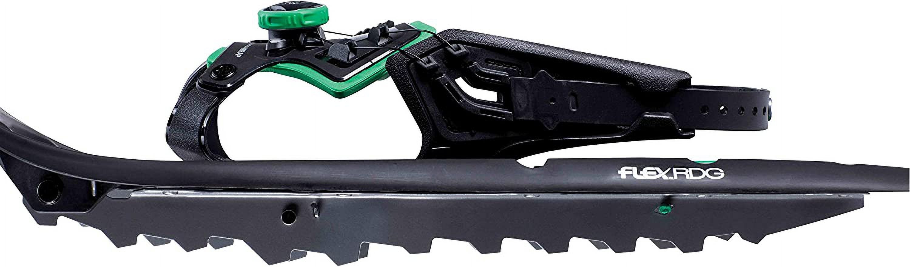 Snowshoe Z10608