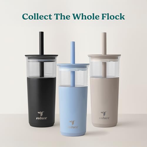 20 oz Vacuum Insulated Glass Tumbler with Lid & Straw K172