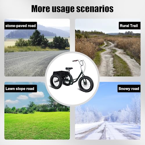 20 Inch 7 Speed 3 Wheel Tricycle with Basket Double Disc Brake K25225